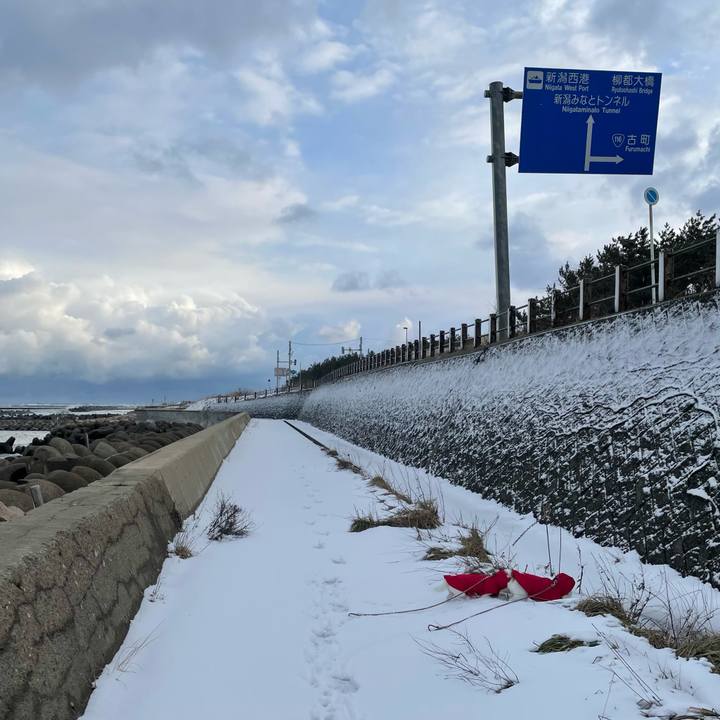 72a04f30 48ae 4f3c bd68 261a5f8afd97 1674951742388