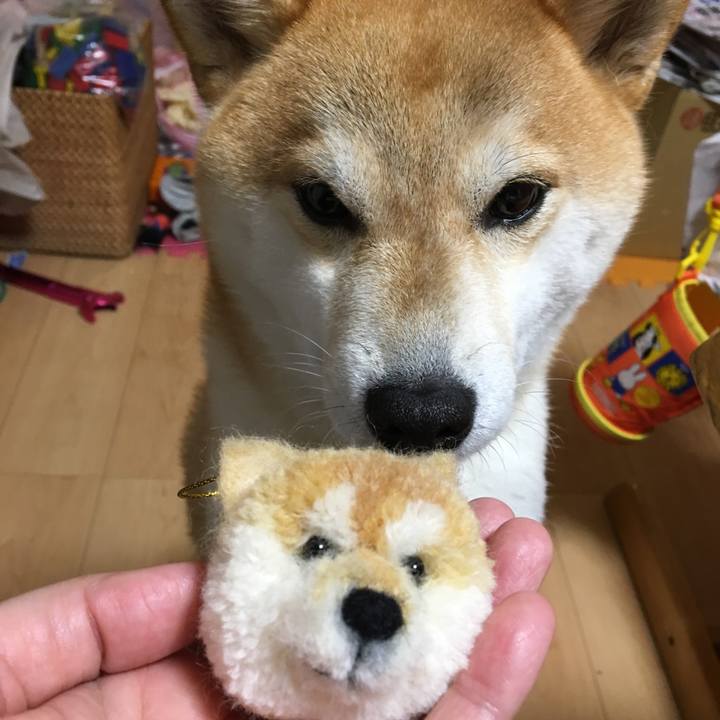 72a07b07 c117 4e97 8deb 7facf5140578 1517304197495