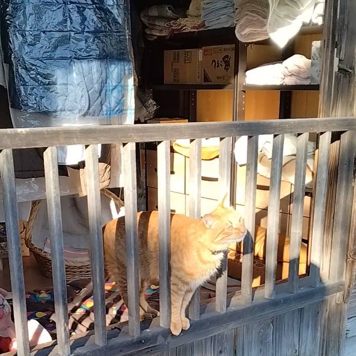 72a082db f893 4386 9a53 e043ca73af35 1669010041590