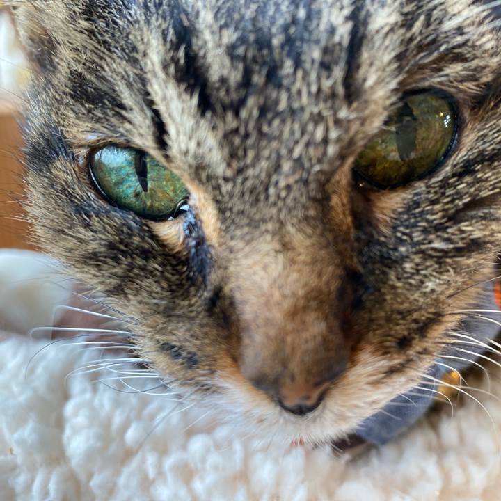 72a0e0db 1d0f 4bef a370 7e9551b90cb8 1705661765554