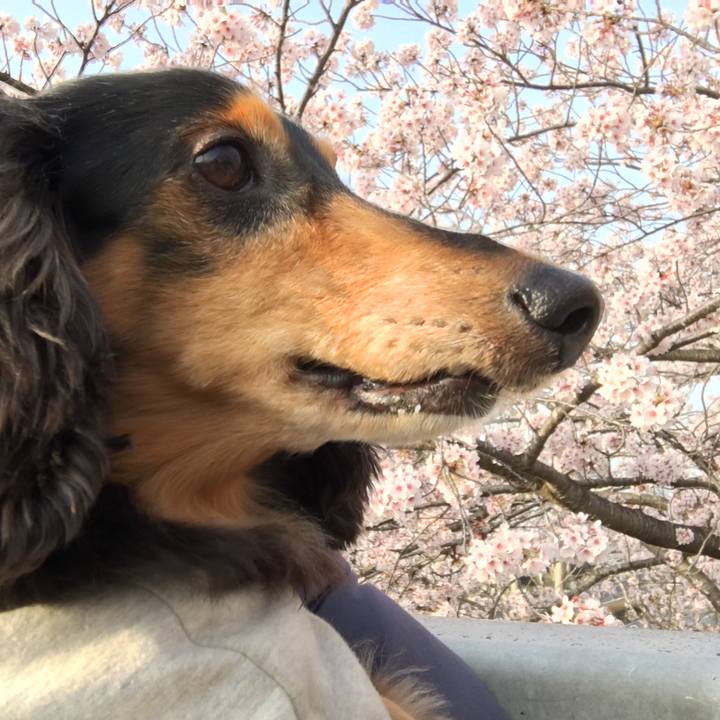 72a0e13a 48f2 4f41 a35c 387c05b8a5c4 1522576793002