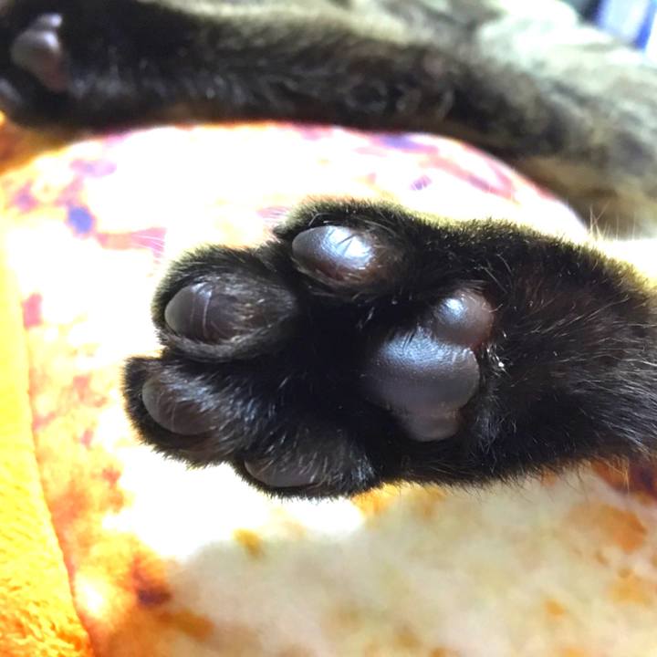 72a1566c 6afc 4868 9c98 fd9d08572bb1 1537451148669