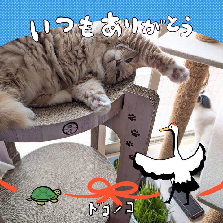 72a1693e 85d6 40ba ba43 ae056f5e2f16 1727233150572