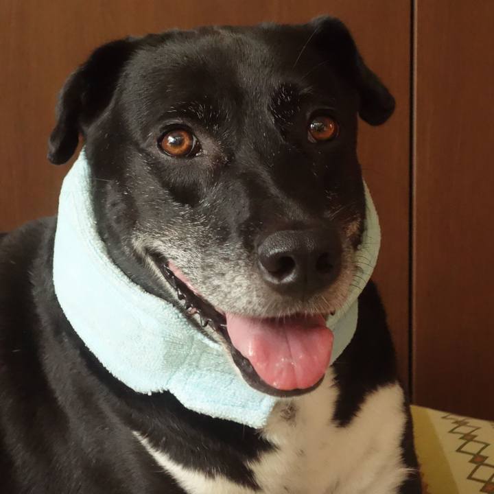 72a18739 9ae5 4c59 a0f1 4d2f2b88b96c 1693181931278