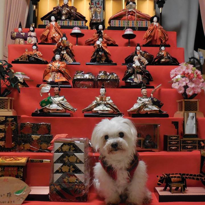 72a191d9 0d7a 4e02 bf42 ebb1c0e64ab2 1634657957115