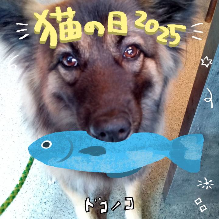 72a191f0 2174 4896 8781 731f69b3f59f 1740108718092