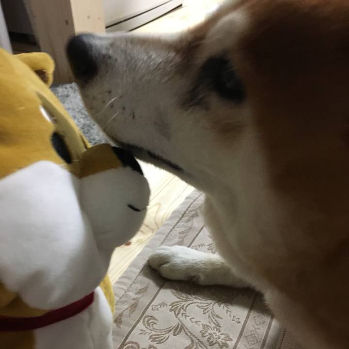 72a20bfb df76 469a 8f63 8eb0c0a8f7c3 1533681392545