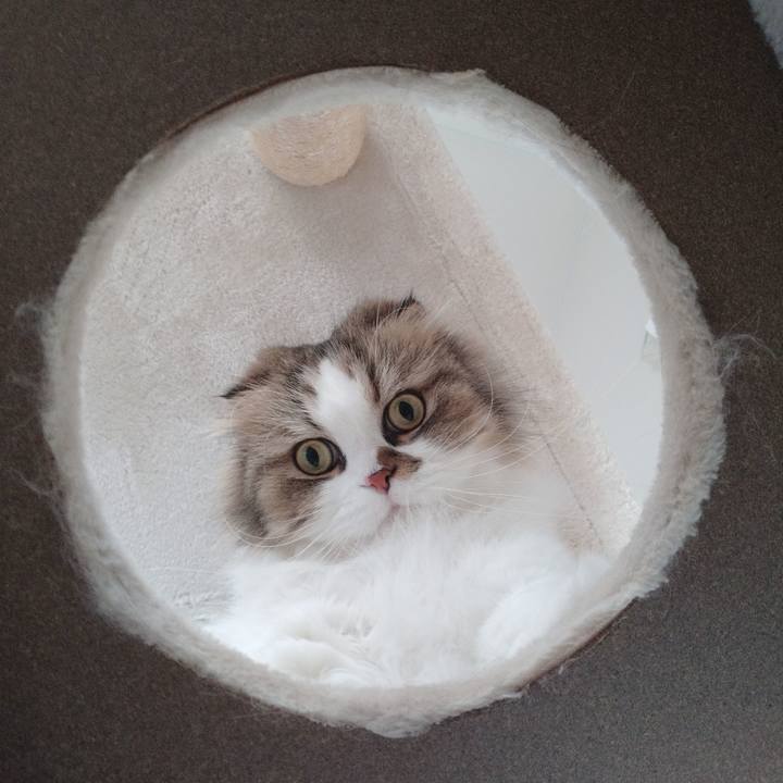 72a2172c 9d58 4fde ab66 9a4224e07f80 1761523010562