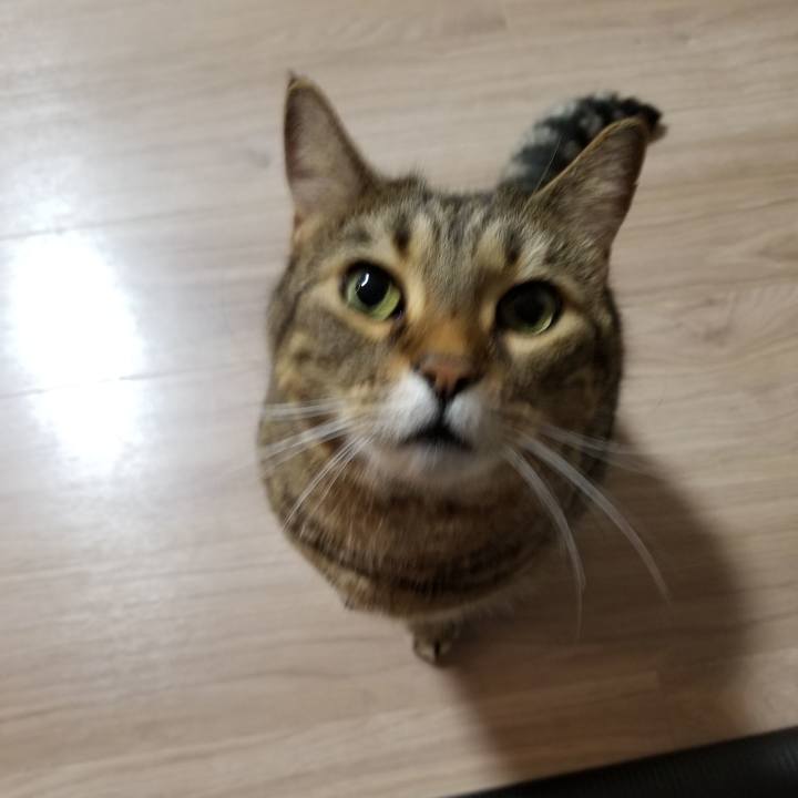 72a29661 cad1 4118 9bc8 7b80838b923b 1602797760881