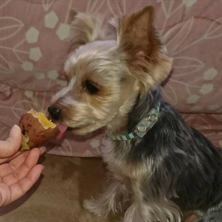 72a2bdc8 fcf4 47da a53b 23833093df29 1511589612903