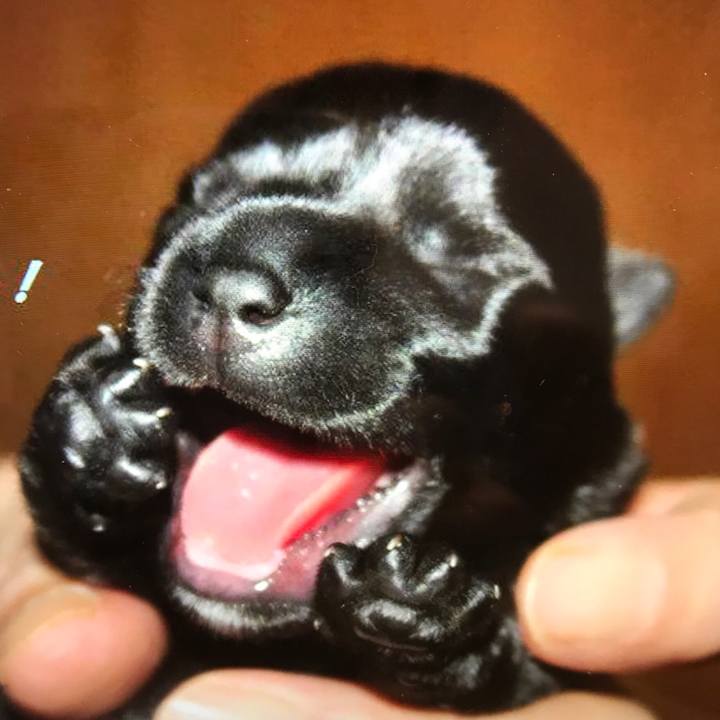 72a2edf2 566b 497b 9b90 8b316472edc2 1533882923122