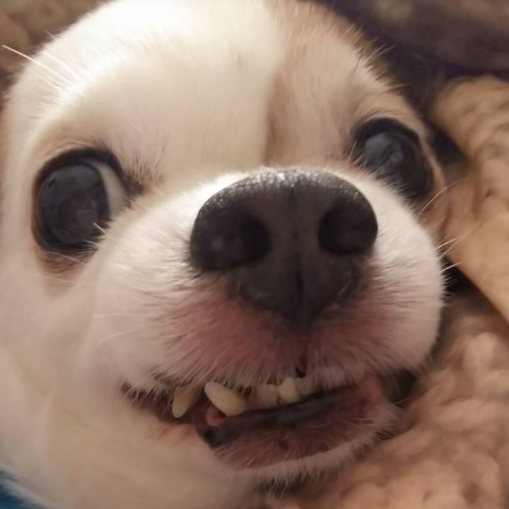 72a2f310 0773 40a5 9714 db75bed1e976 1578363641564