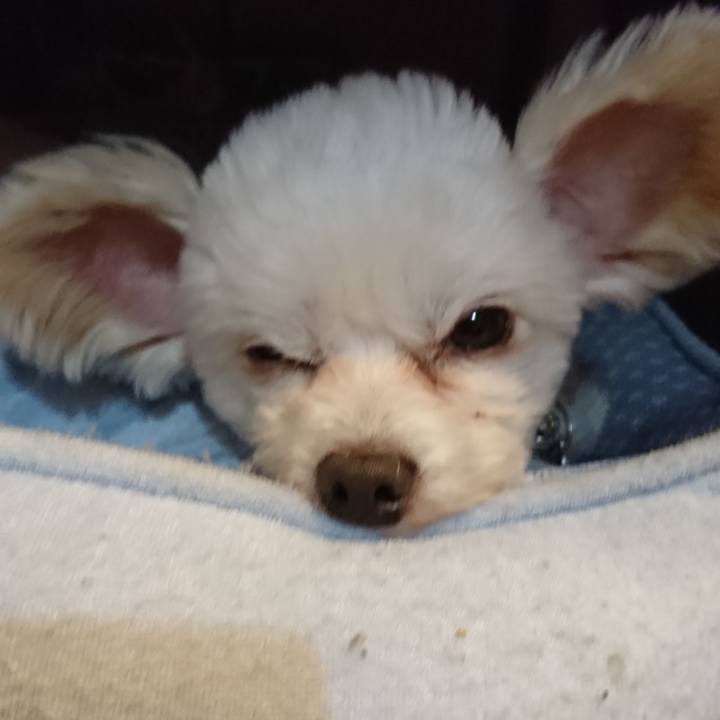 72a30444 17b4 4ba0 b496 91d42c3336d5 1523163096614