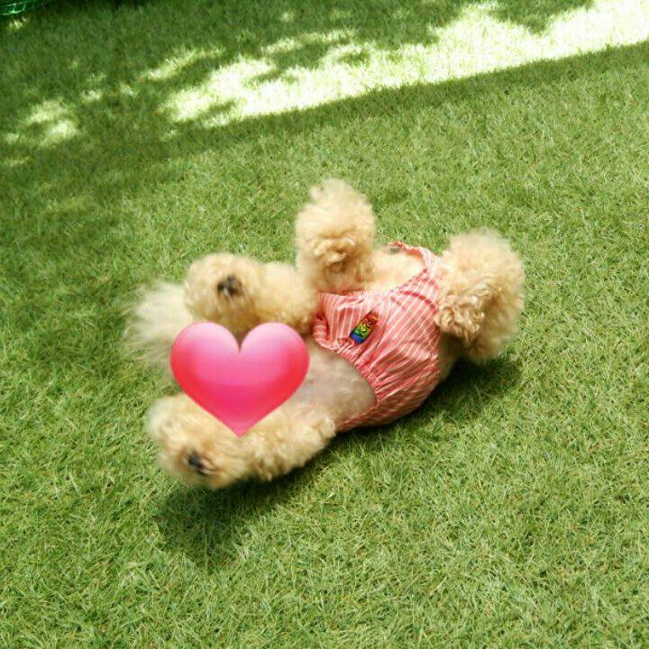 72a313f6 f5bc 454e 9fde 64a06fae95f6 1526988943387