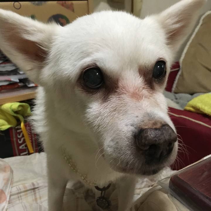 72a31595 a85e 4604 bafa 8b60b6f5eb0c 1545094956479