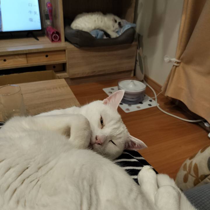 72a339da b032 442a 987b 2d58b9f6aa4a 1770778065514