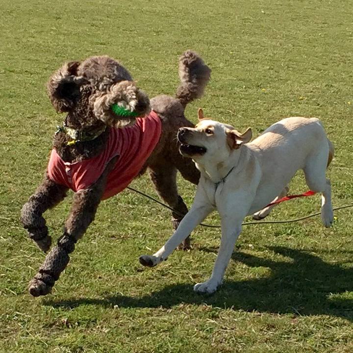 72a33ec8 6ac9 4b9d 874c a0fe6538eec6 1557467487925