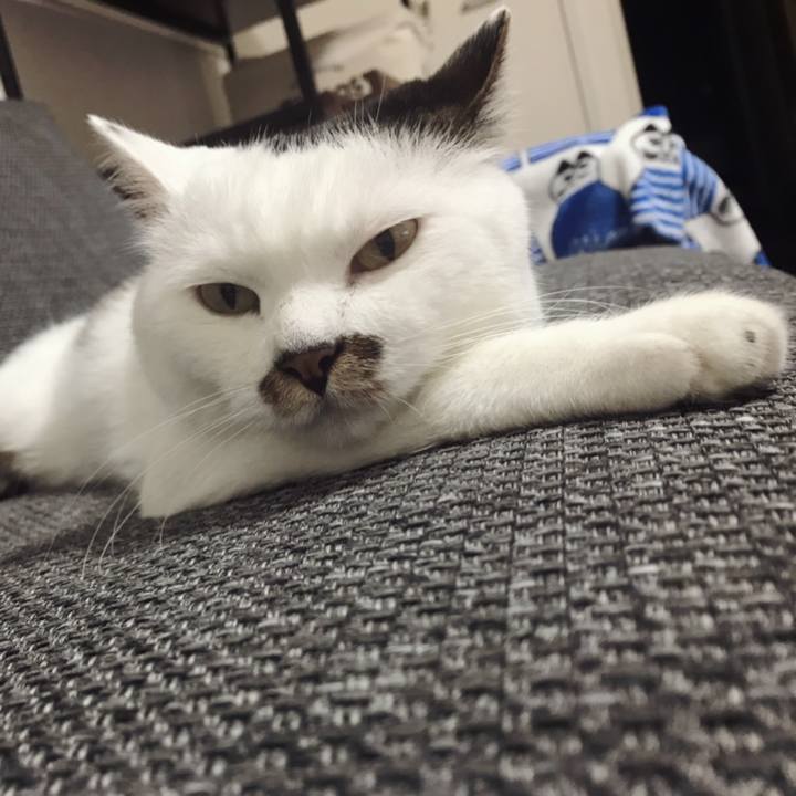 72a33f2e d726 411a 8562 e2249e965f6c 1593838405057