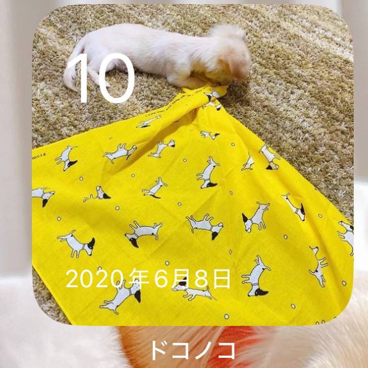 72a36e7b c00c 454e 842d 8fdd06a5c42a 1749562125578