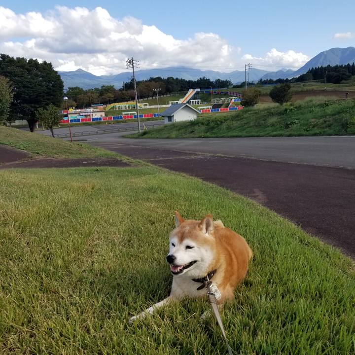 72a38635 71cf 41dd b8aa bac12ba863c2 1695967230385