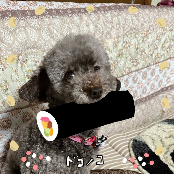 72a391a7 b4a1 454f 83b5 c987bf4c9336 1741064542067