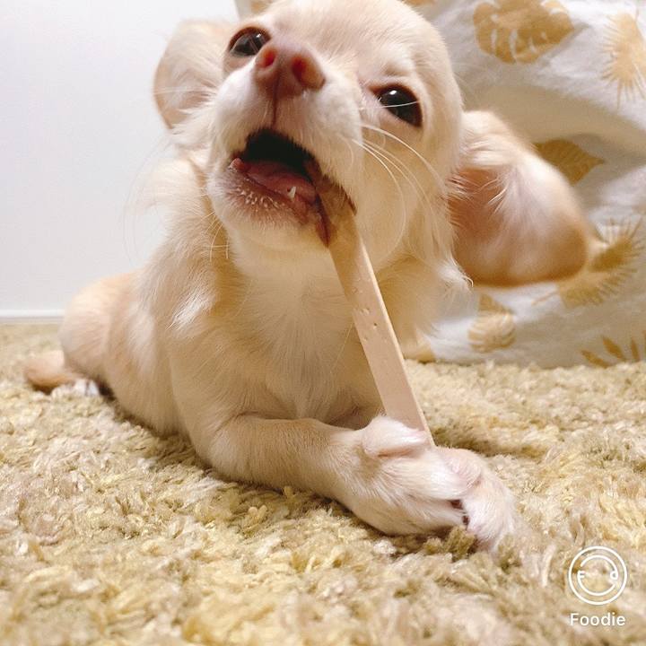 72a3a167 a49d 4efe b41d 694e4f5e8ecb 1598256142149