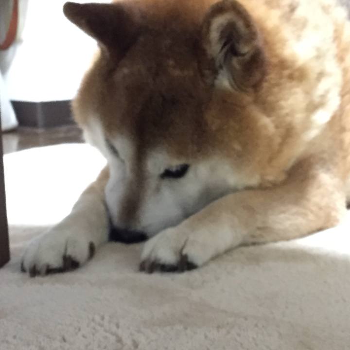 72a3bb35 bcbd 4b2e a1bf 16c26fd44f8b 1525862305416