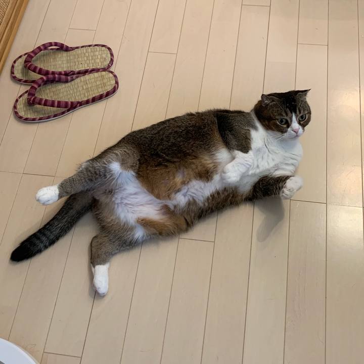 72a3cd3e 686b 4414 81ec 1f8fd9d4bfe3 1567901209498