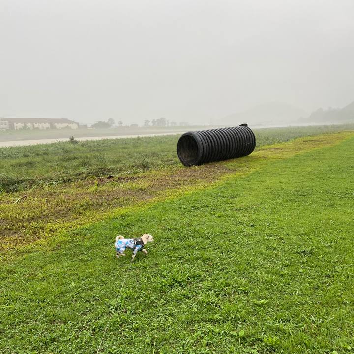 72a3d104 9f5f 43c1 a1d5 6998a9cd6483 1629371581824