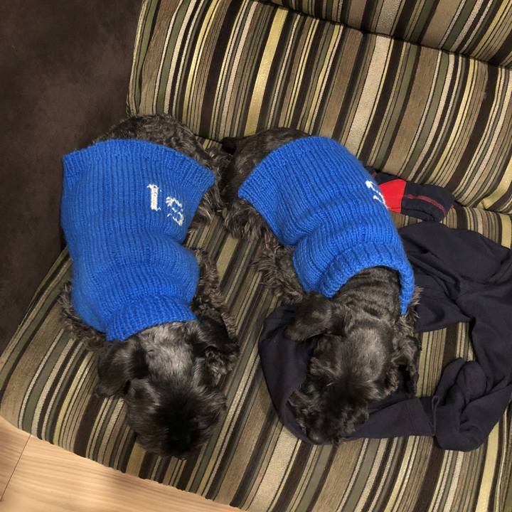 72a3dfa8 c854 4d67 87c5 532733557872 1523361338732