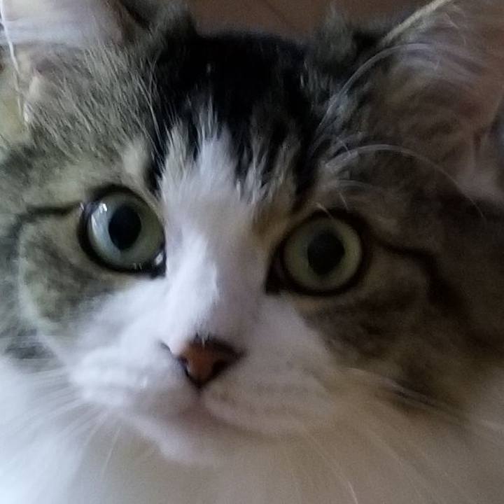 72a41e8f 398c 4d38 84ae a7e2d5ad1cd7 1575709839585