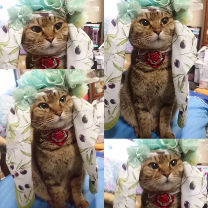 72a43c47 314a 4013 807a 3fc2df7cba1d 1767813610180