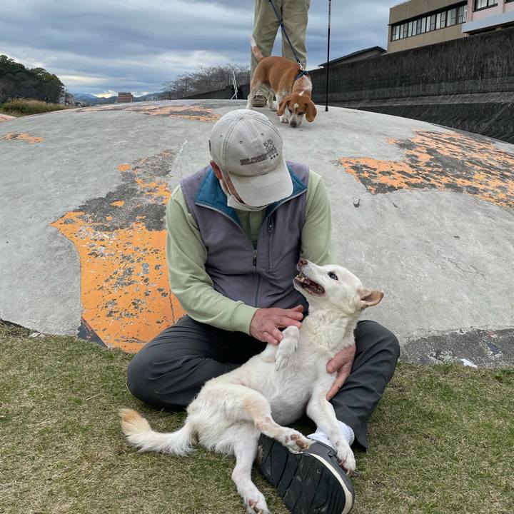 72a455fd fcf1 4cae a69c 2a27a1a266ce 1679652650107