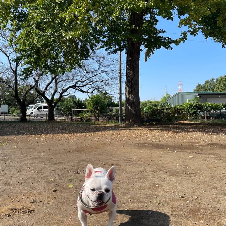 72a47abd 03af 42bd ac7f 78fcf2a86704 1761817691306