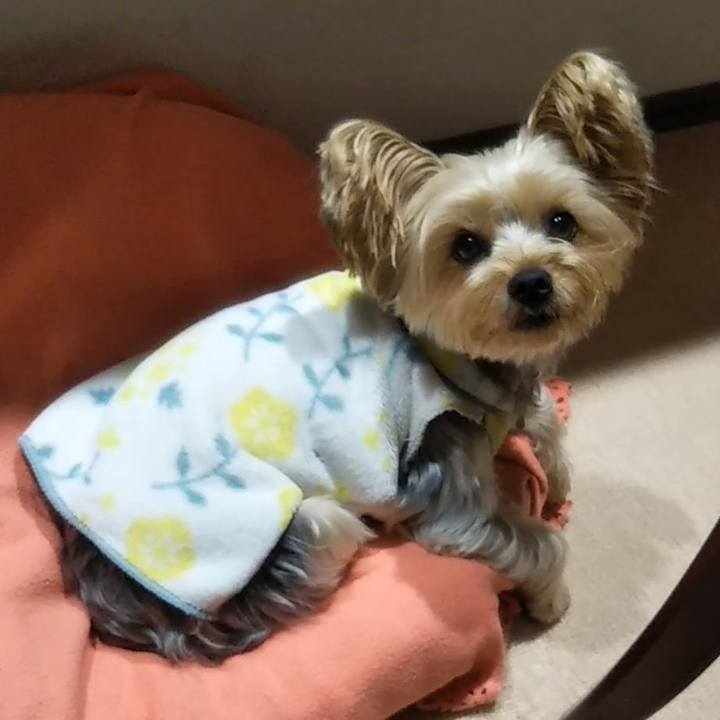 72a4a5b3 5a34 4912 bb89 d98e60551d20 1636623653309