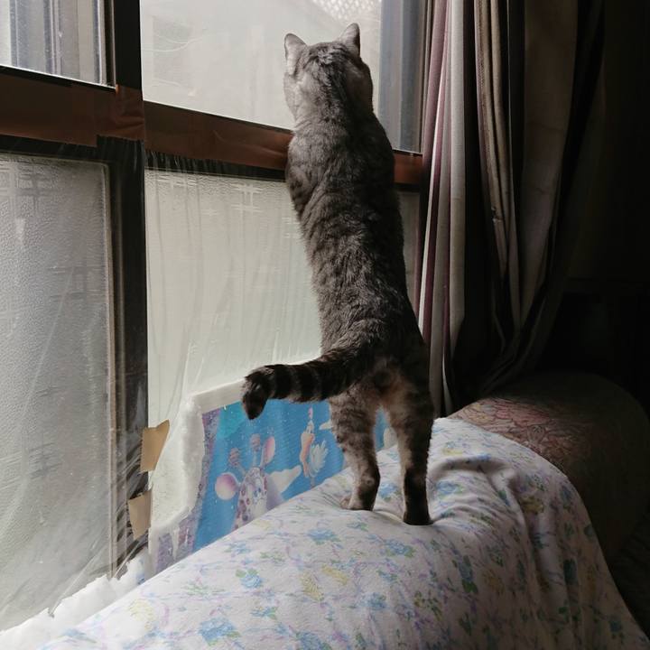 72a4d4e0 f875 4ddc 82a6 98f3f5ca12fd 1526259562846