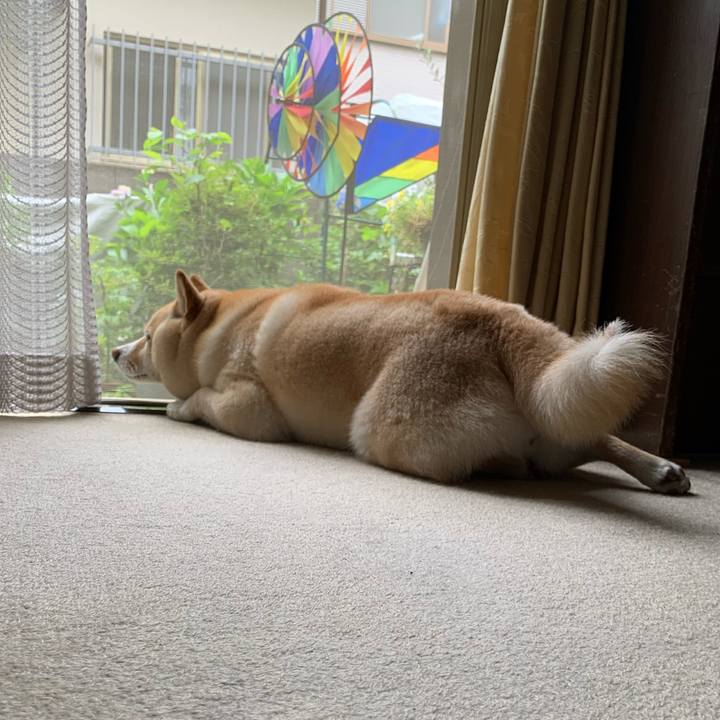 72a4d7cd b691 4f8c b7a9 c4eecc2dfeb0 1623817571499