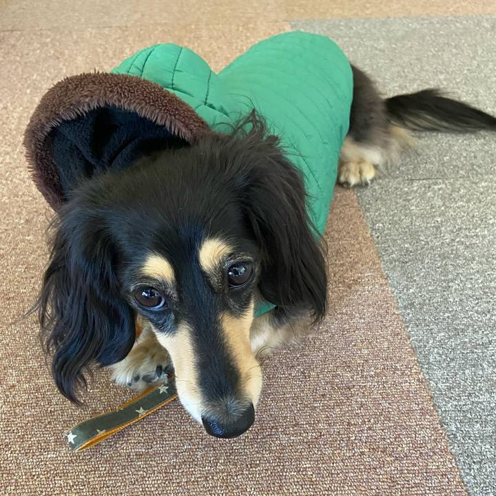 72a4e7d0 a559 40d8 b446 012f6b187f9f 1741315796852