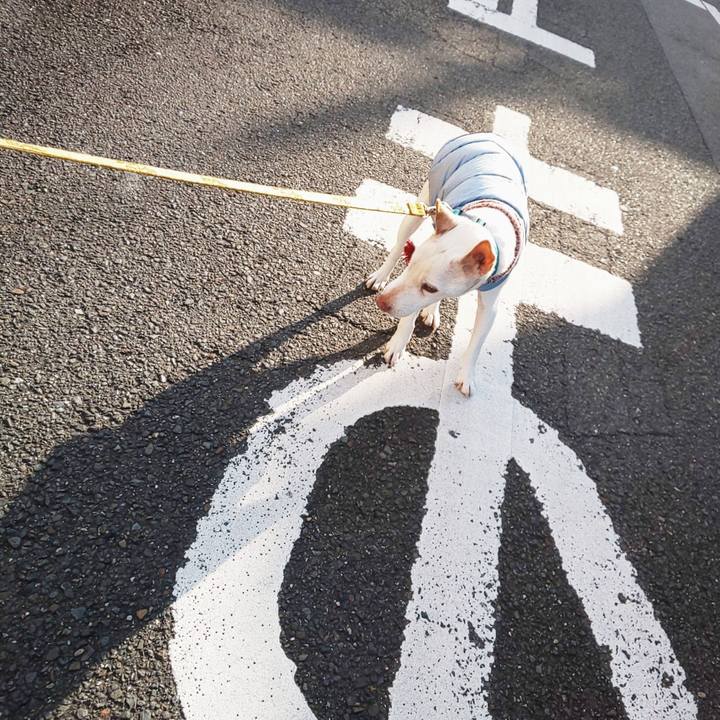 72a5085c 7467 45d4 a301 fc477632559e 1551052360321