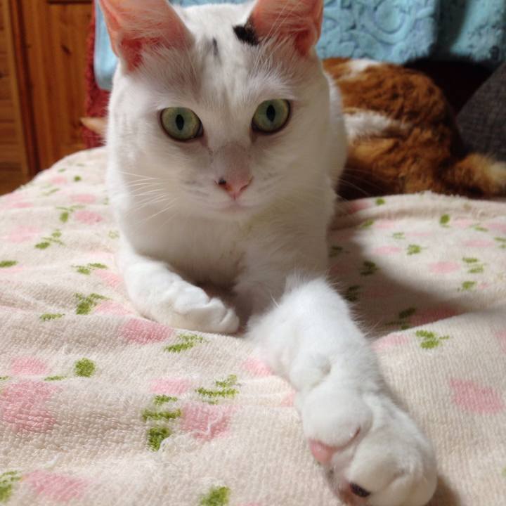 72a570d9 d02f 4b19 9bf8 0dc95235a1d3 1509260494473