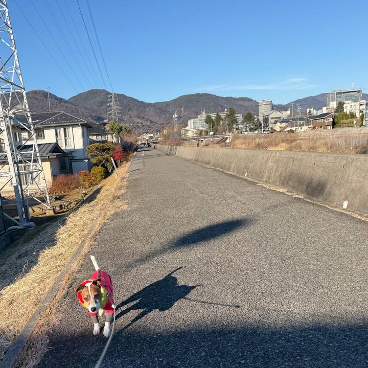 72a595ba 6bb6 4691 a479 c36d9aa44f03 1767769499656