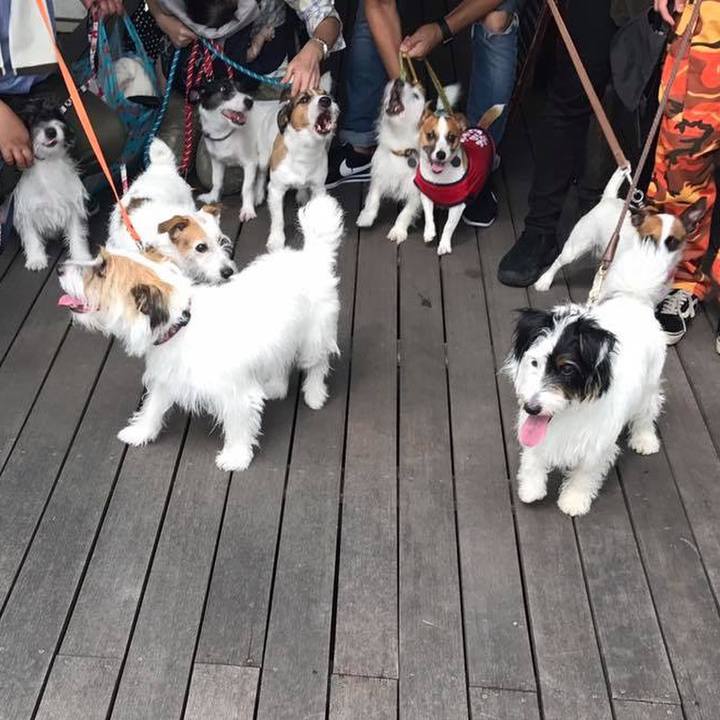 72a5a44b 9afd 4261 a807 ce43c977d450 1566338484089