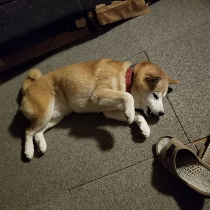 72a5aef8 1b49 45b8 9da0 e713dae1e30d 1760602473321