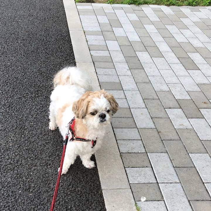 72a5c101 7272 41d0 bf87 d11dfa06416a 1590789483672