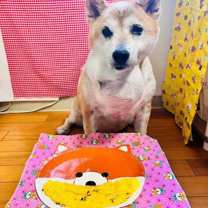 72a5fcf9 2ed3 4317 920a dfc3460688d4 1758093593748