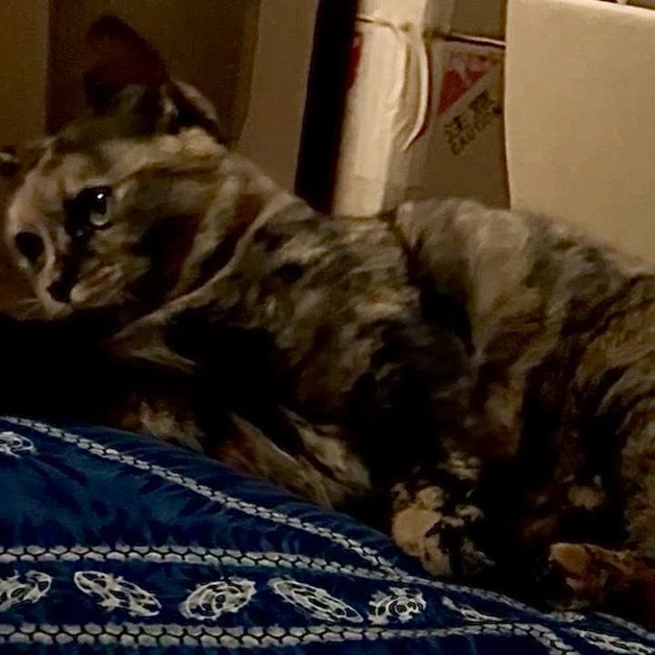 72a6057c 0083 4d56 9740 27de9ddc24f6 1757410921757