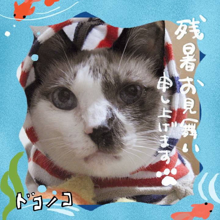 72a60e0c eb79 415f afe0 13c9b05cddba 1723225765191