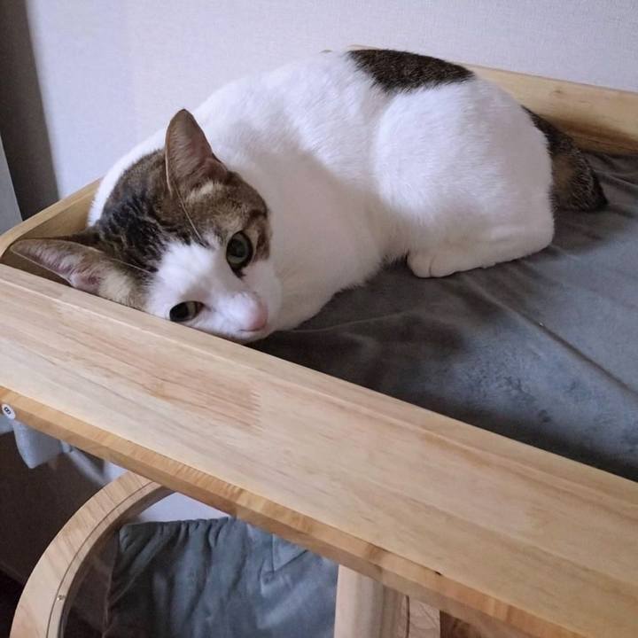 72a62750 1517 4024 8391 5de2f993aae3 1763893814708