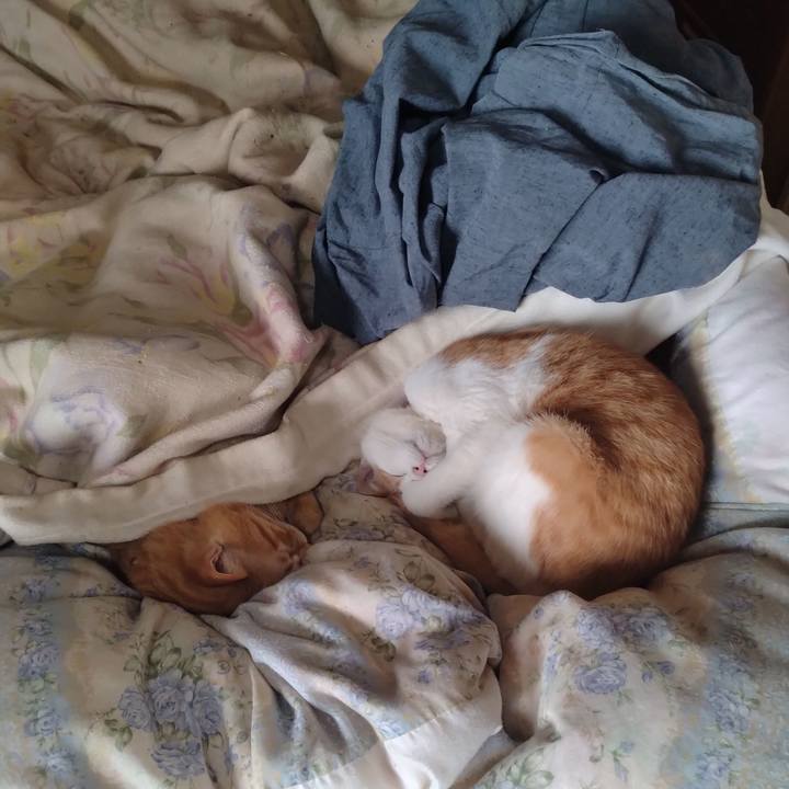 72a627be 40c8 4c6c b21f 596172cdec7e 1740958773381