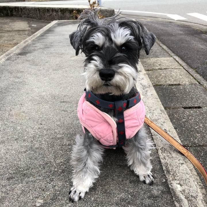 72a65579 56e2 491e a1a5 46ab23b8bbec 1673055117966